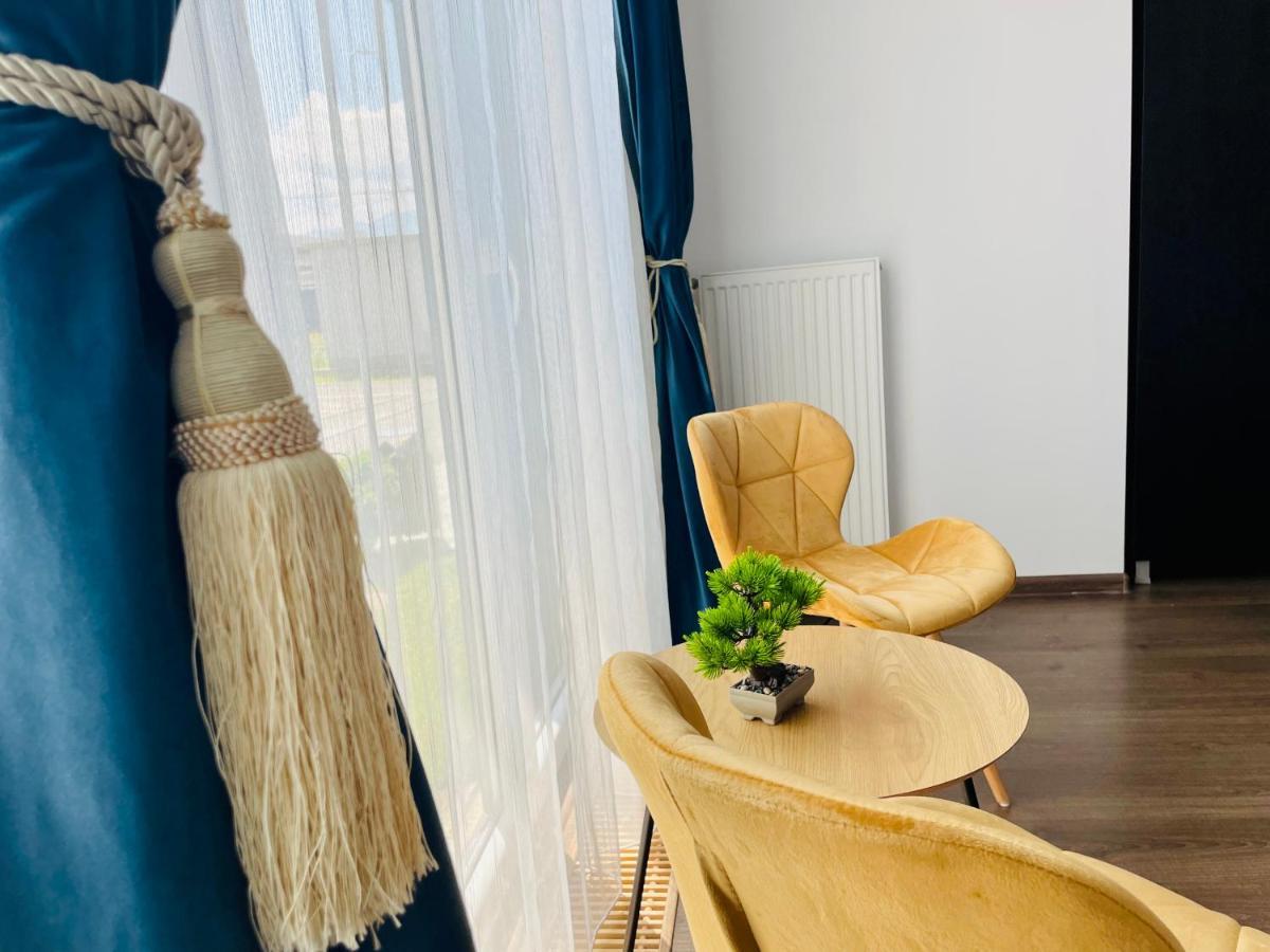 Aventurescu Studio Brasov Coresi المظهر الخارجي الصورة